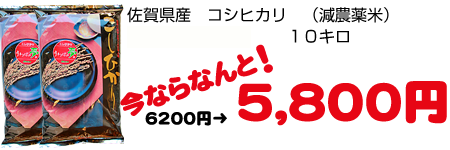佐賀県産減農薬米コシヒカリ１０キロ